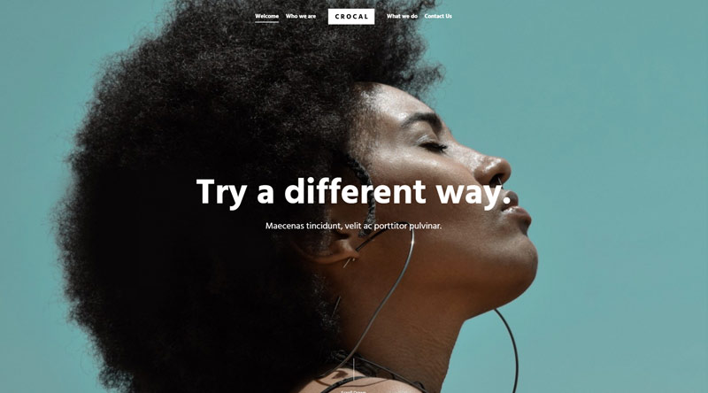 10 fantastici temi WordPress ottimizzati per i dispositivi mobili che ti porteranno lontano 10 Crocal WordPress Theme