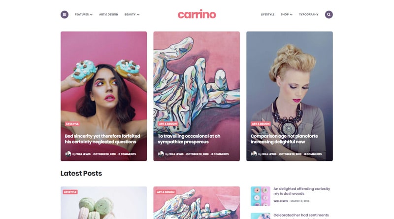 每個利基的 10 個多彩 WordPress 主題 7 Carrino WordPress Theme