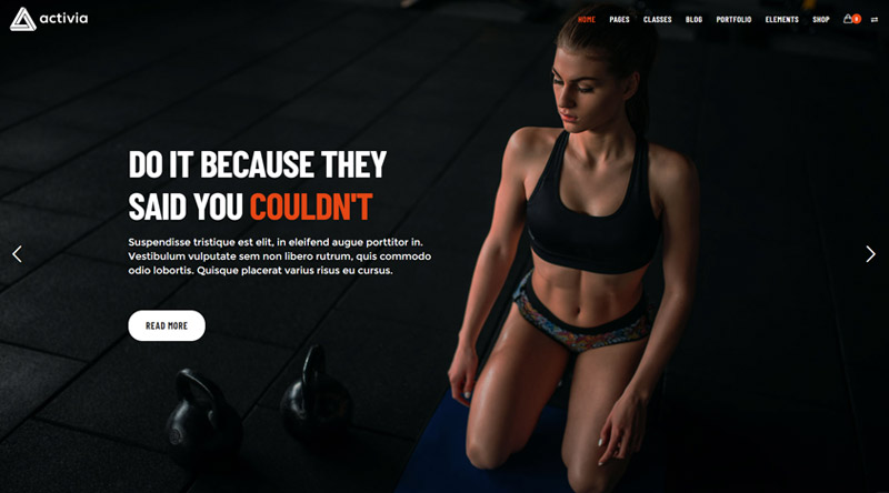 Activia WordPress Theme
