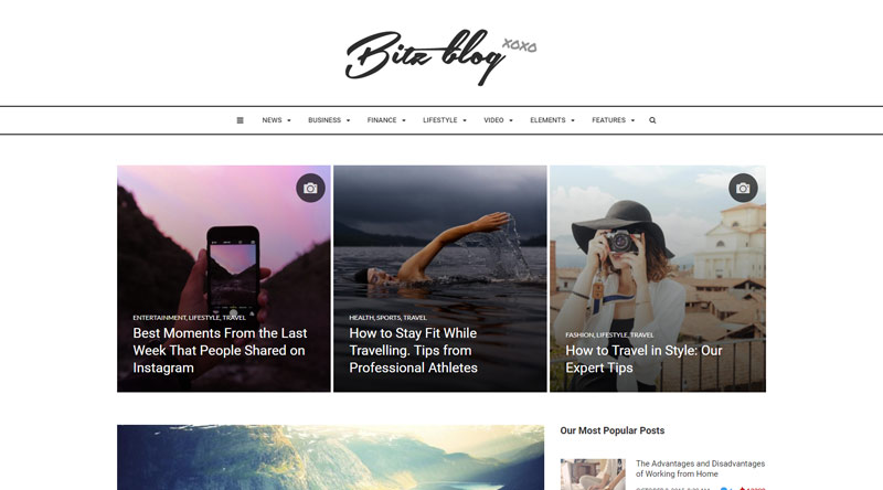 Bitz Publishing WordPress Themes