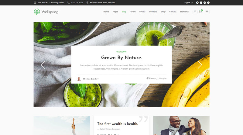 Wellspring Health WordPress Themes