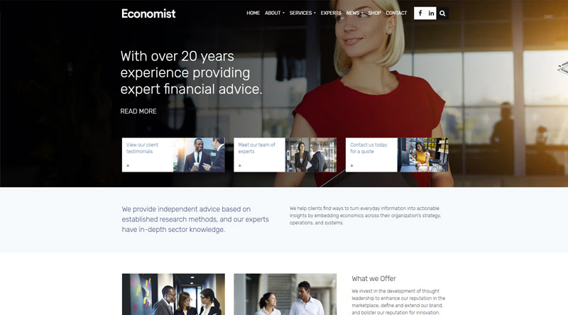 Top 10+ des thèmes de financement WordPress pour un site Web prospère 11 Economist WordPress Theme