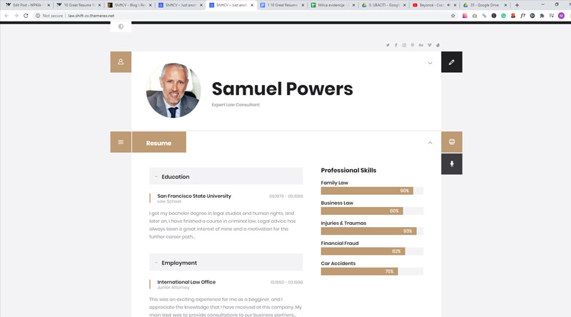 10+ отличных тем для резюме для Wordpress и что включить 13 ShiftCV Resume WordPress Theme