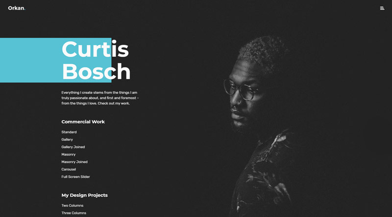 10+ отличных тем Wordpress для резюме и что включить 7 Orkan Resume WordPress Theme