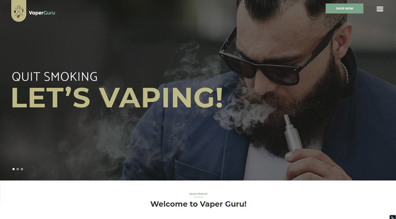 5 тем WordPress для курения горячего табака 5 VaperGuru WP Theme