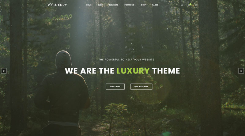 Luxury WordPress Theme