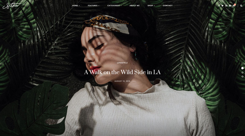 Sitka Modern WordPress Theme