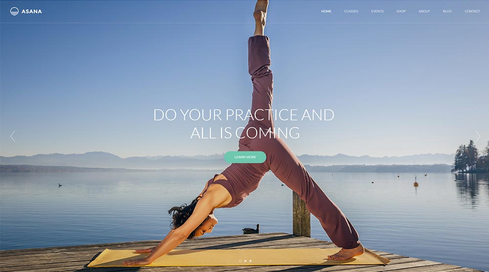 Asana WordPress Theme