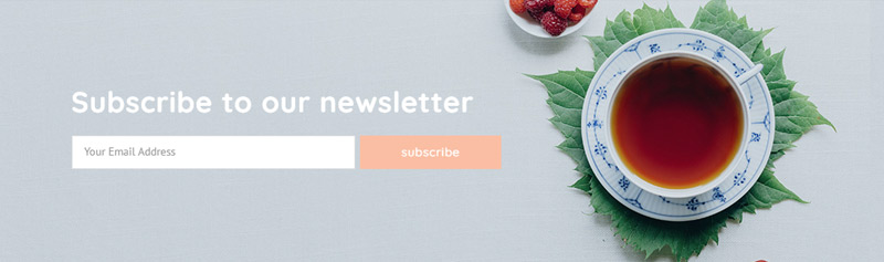 Succulents subscribe