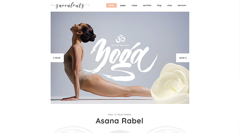 Succulents Wordpress Theme