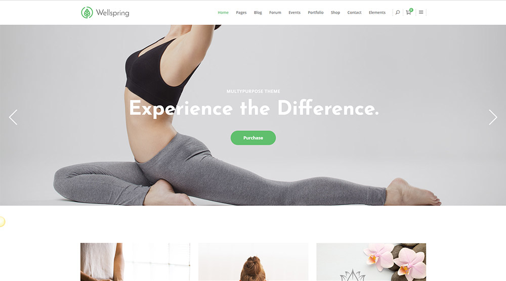 Wellspring WordPress Theme