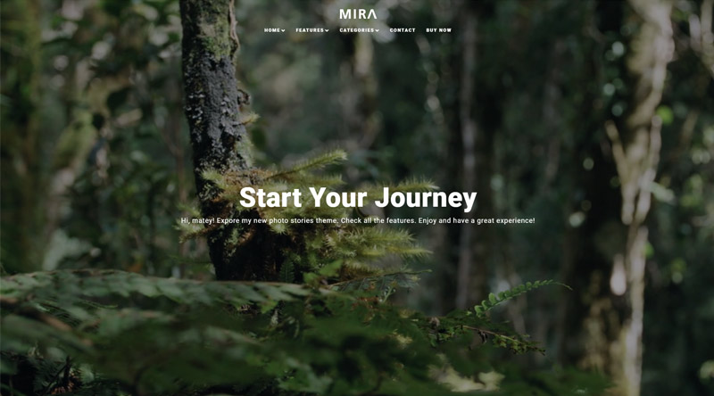 Mira WordPress Theme