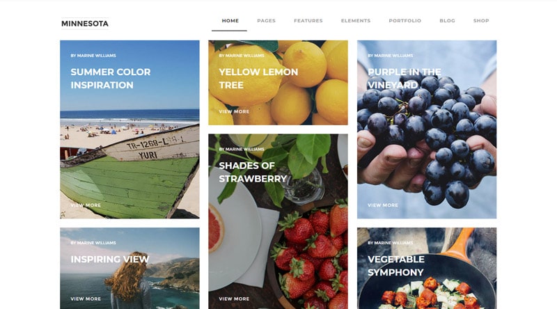 Minnesota WordPress Theme