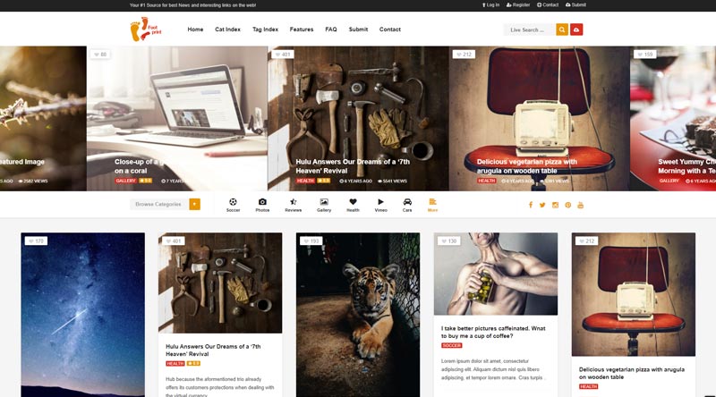 Foot WordPress Theme