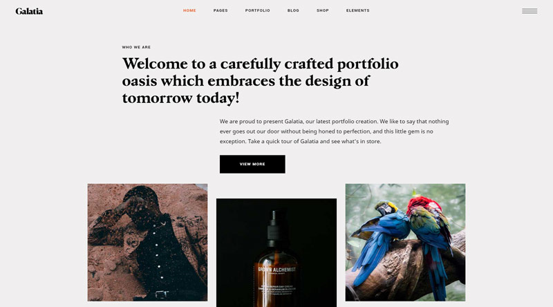 Galatia Pinterest WordPress Theme
