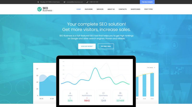 SEO Business WordPress theme