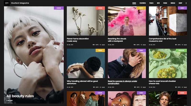 Ebullient WordPress Theme