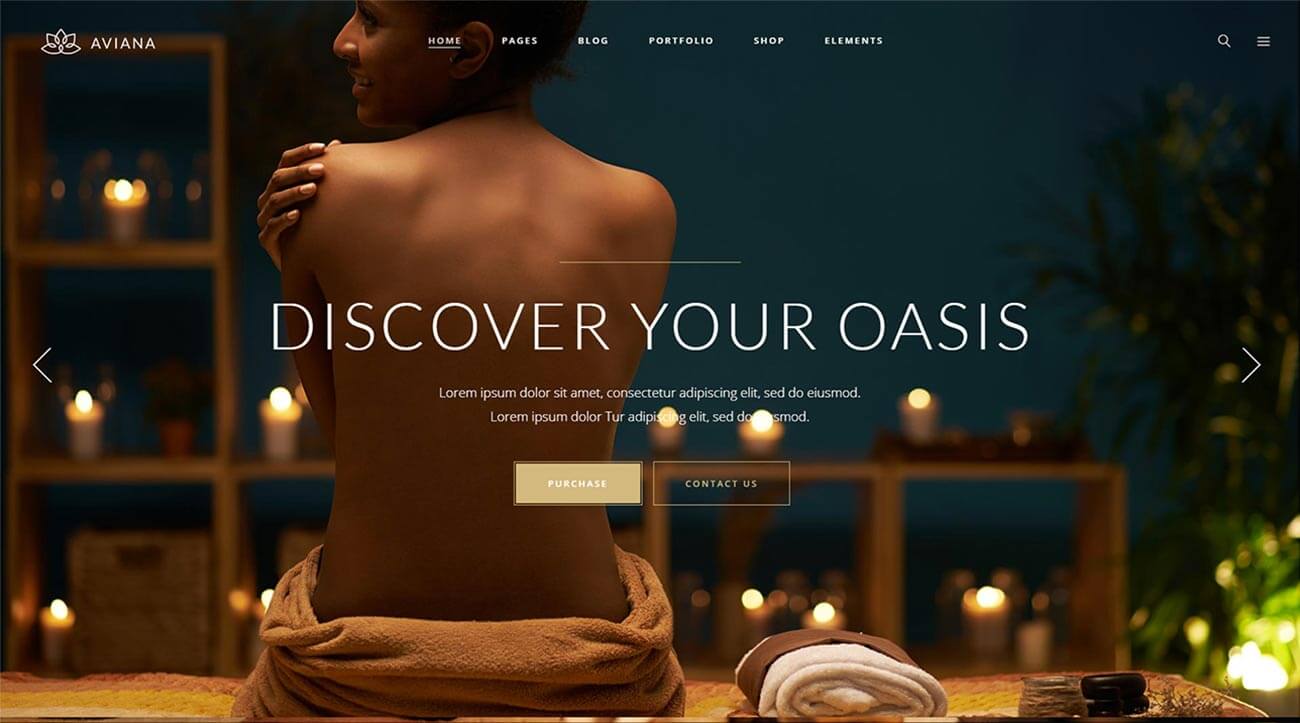 Aviana Wordpress Theme