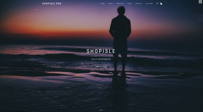Shop Isle WordPress Theme