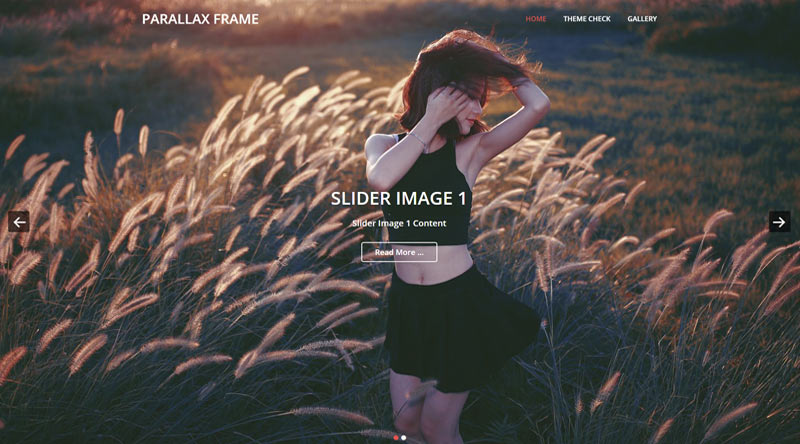 Parallax Frame WordPress Theme
