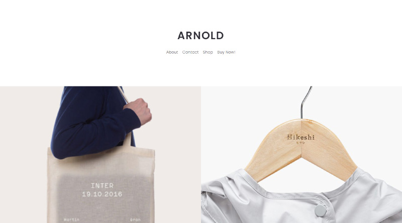크리에이티브를 위한 20개 이상의 최고의 포트폴리오 웹사이트 템플릿 14 Arnold WordPress theme