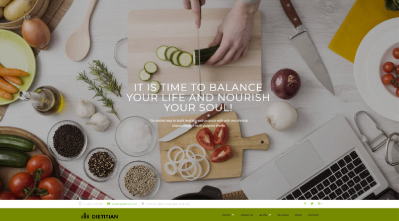 Gerçek Dönüşüm için En İyi 5 WordPress Teması 5 Dietitiant WP Theme
