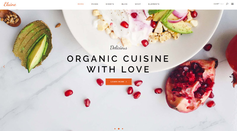 Gerçek Dönüşüm için En İyi 5 WordPress Teması 6 Elaine WP Theme