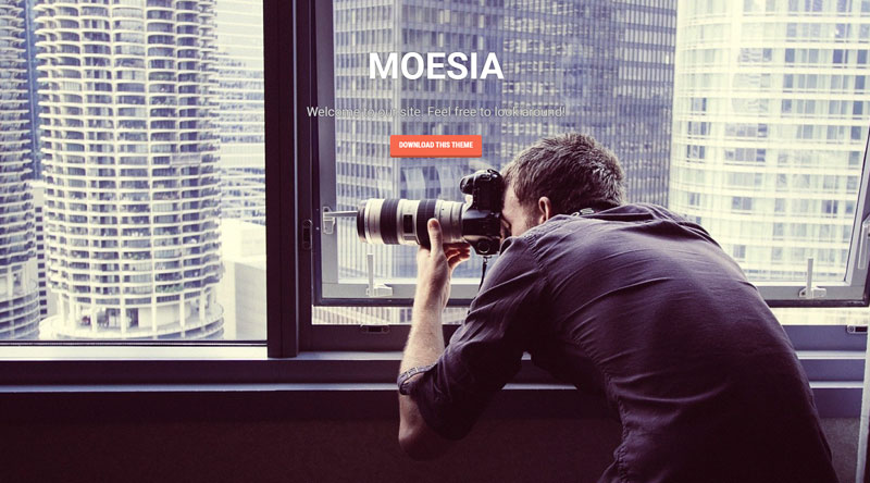 Moesia WordPress Theme