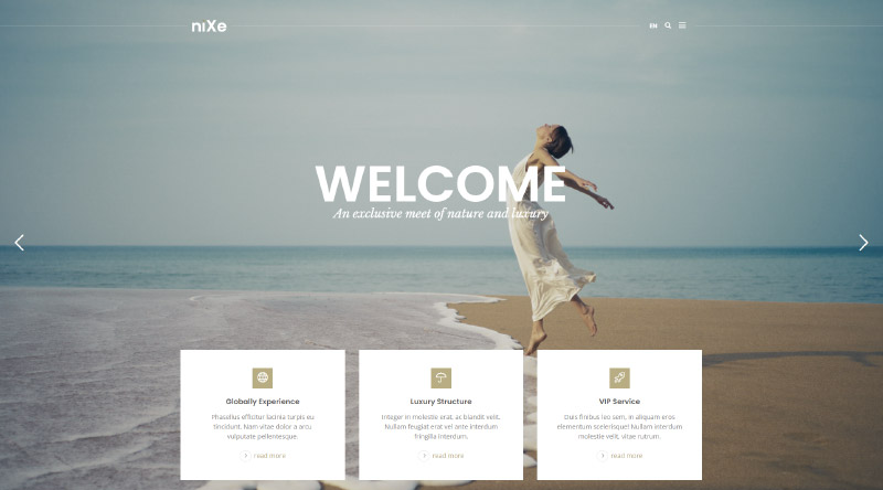 5+ Temas WordPress de Acampamento para Nova Aventura 6 Nixe WordPress Theme