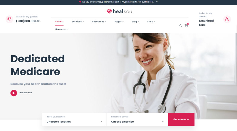 Healsoul WordPress Theme
