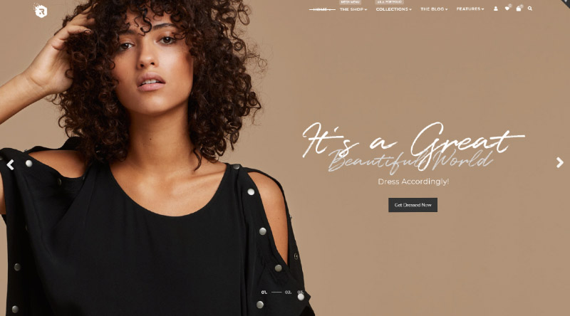 10 migliori temi Dokan per i mercati multi-vendor 5 Rigid WordPress Theme