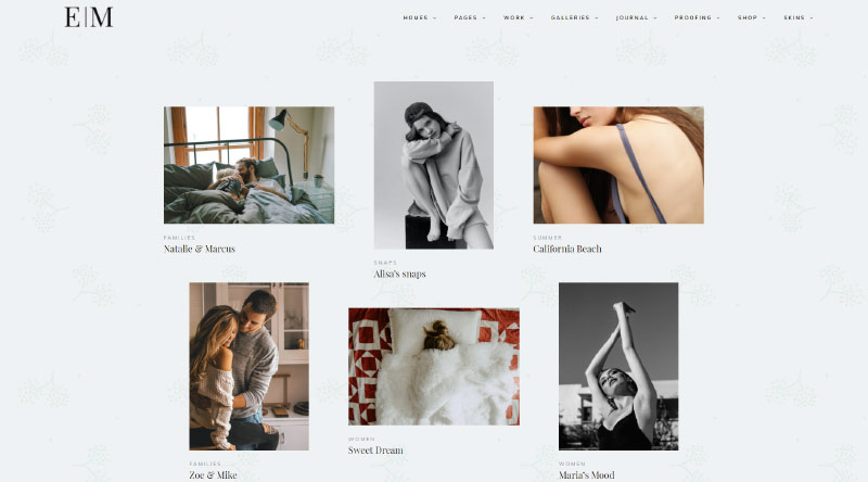 Snapster WordPress Theme
