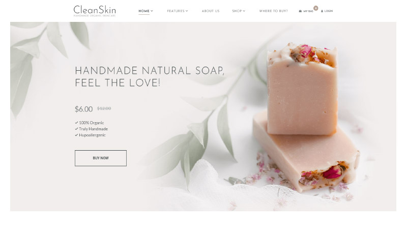 CleanSkin WordPress Themes
