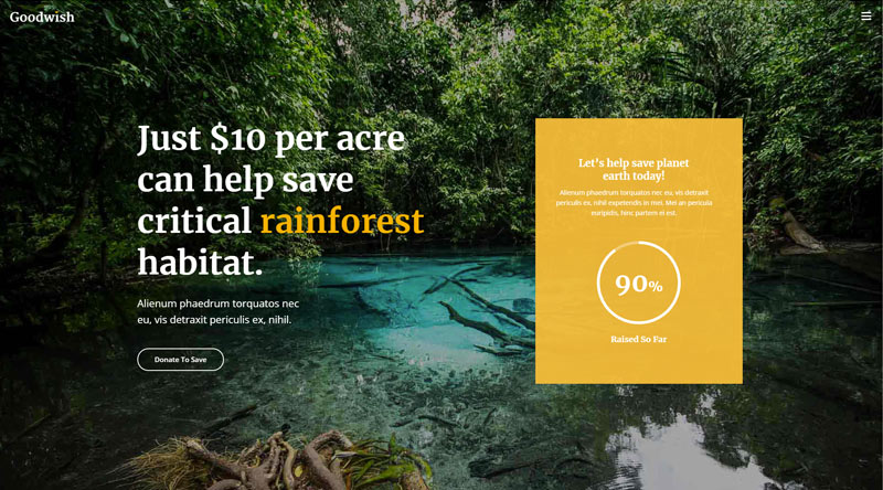Die 5 besten NGO-WordPress-Themes für Ihre Organisation 3 Goodwish WordPress Theme