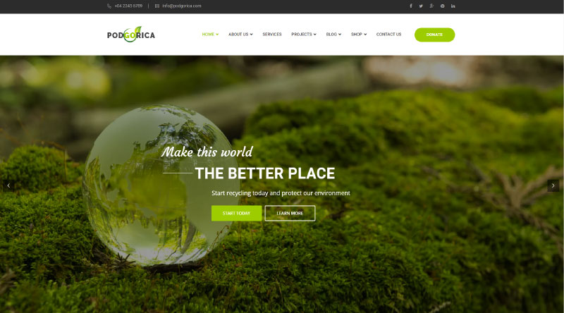 Podgorica WordPress Theme