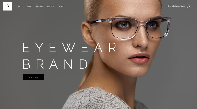 Bridge Optician WordPress Themes