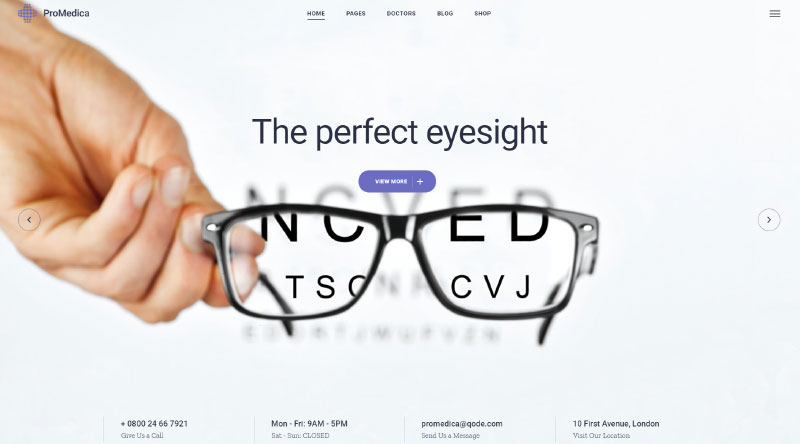 ProMedica Optician WordPress Themes