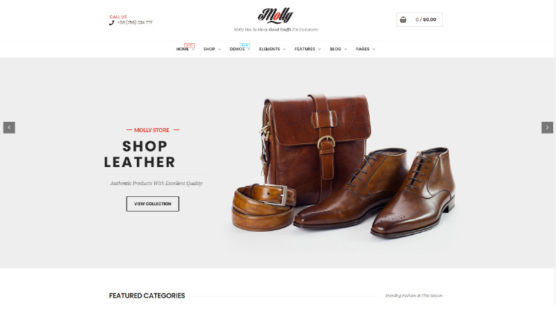 Molly WordPress Themes