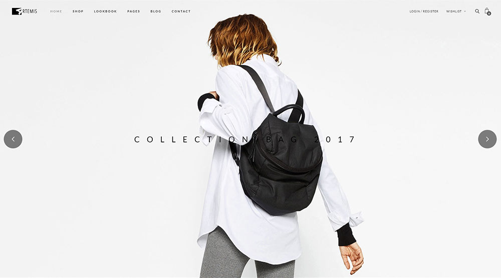 Artemis WordPress Theme with Slider