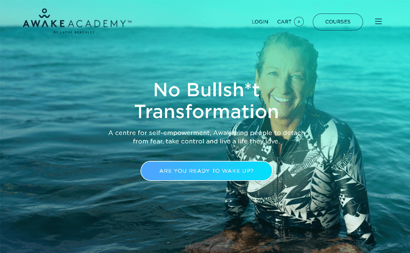 Die besten E-Commerce-Websites von Awake Academy mit WordPress