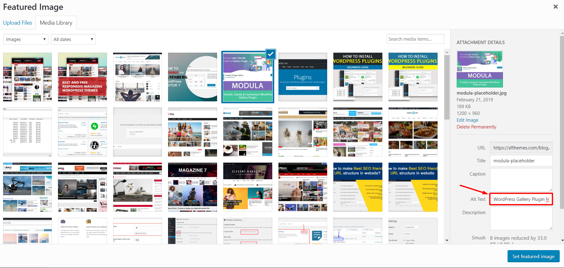 Testo alternativo SEO di WordPress