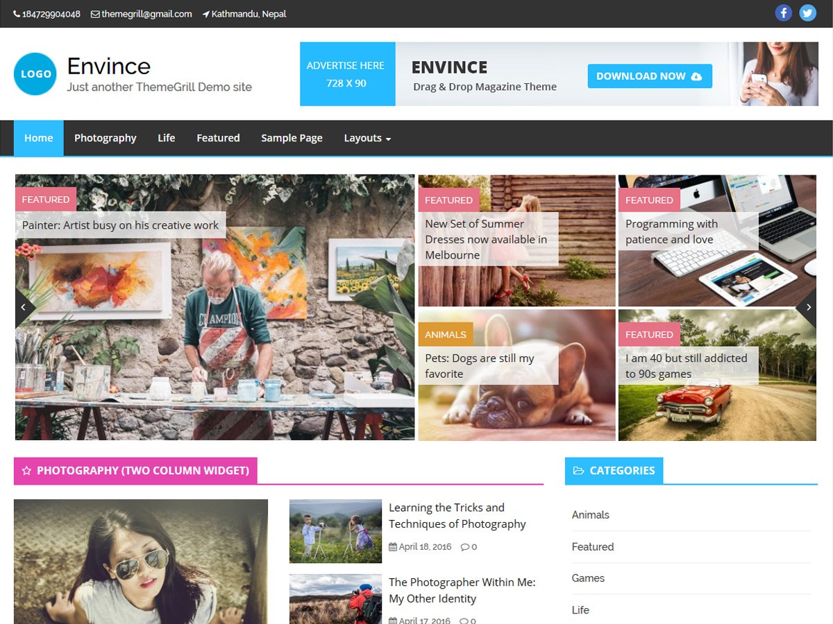 teme WordPress pentru reviste