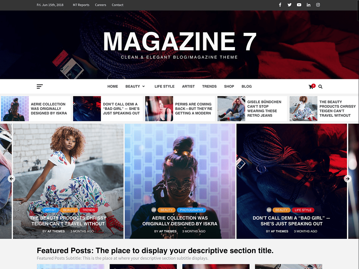 teme WordPress pentru reviste