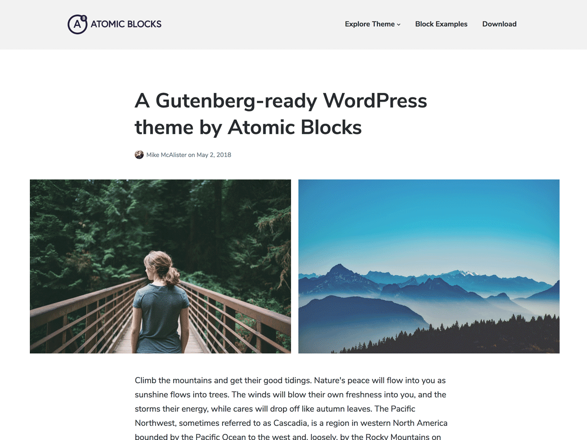 Gutenberg WordPress-Themes