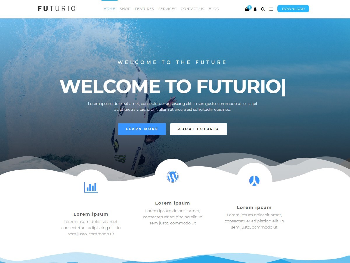 Responsive WordPress-Themes