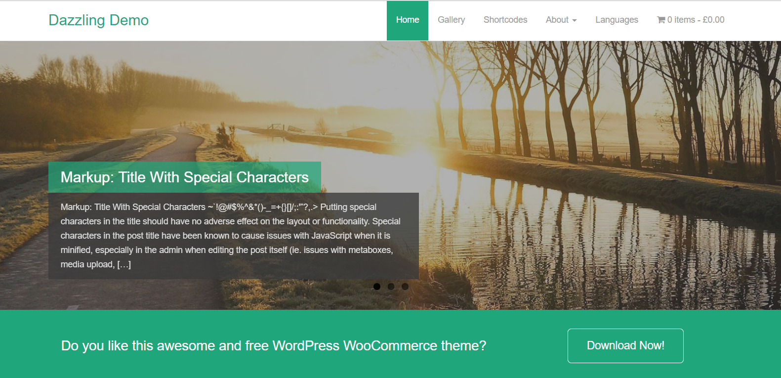 أفضل فندق WordPress Themes