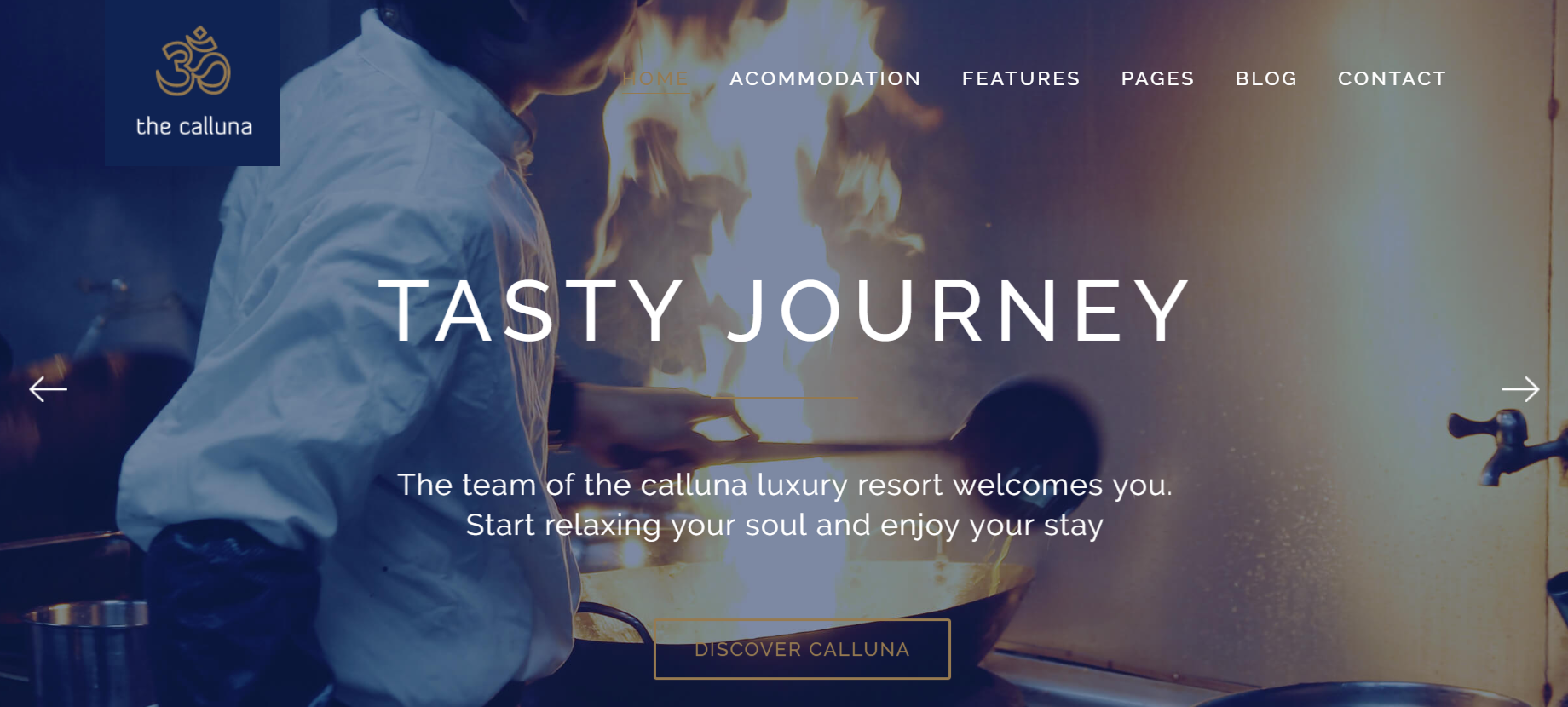 أفضل فندق WordPress Themes