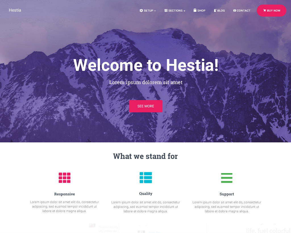 meilleurs thèmes WordPress d'une page