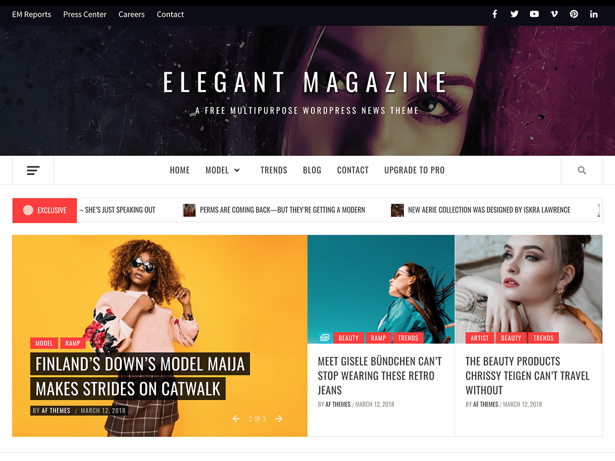 นิตยสาร WordPress ธีม