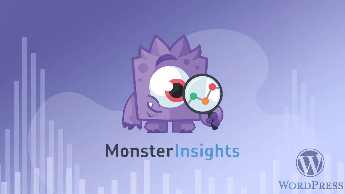 MosterInsights - еще один самый популярный плагин для WordPress.